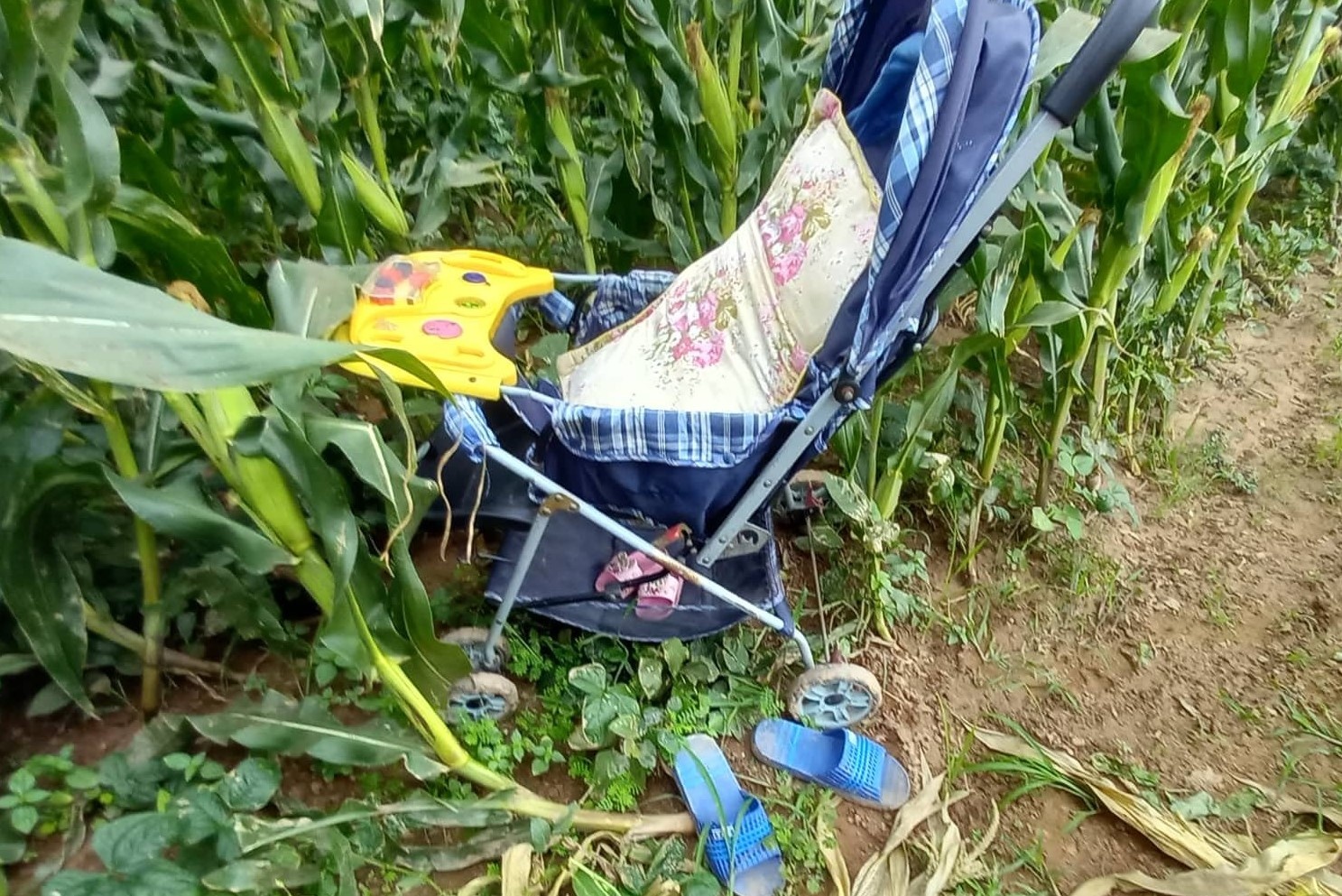 nu giao vien cung con mat tich anh 1