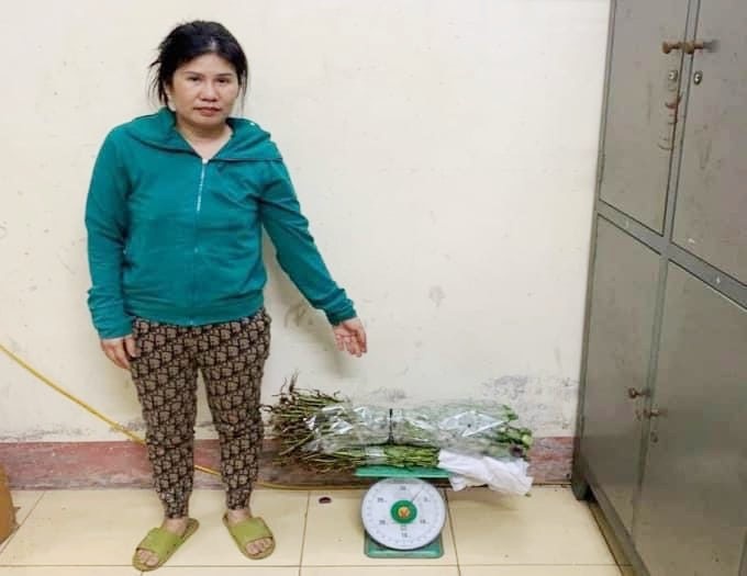 ban cay thuoc phien ngam ruou anh 1