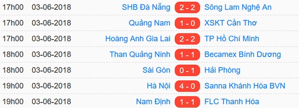 Tran HAGL vs CLB TP.HCM anh 1