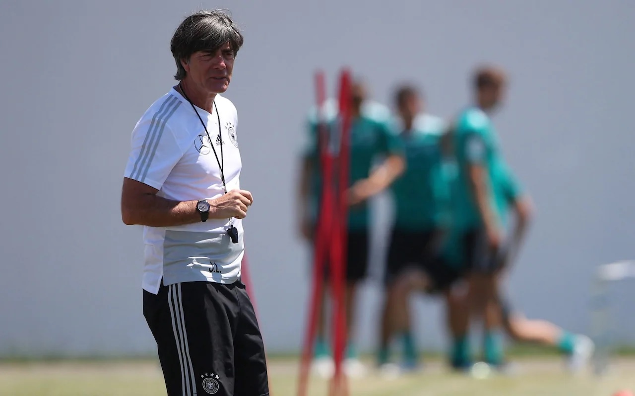 DT Duc,  World Cup,  Loew,  Mesut Oezil anh 2
