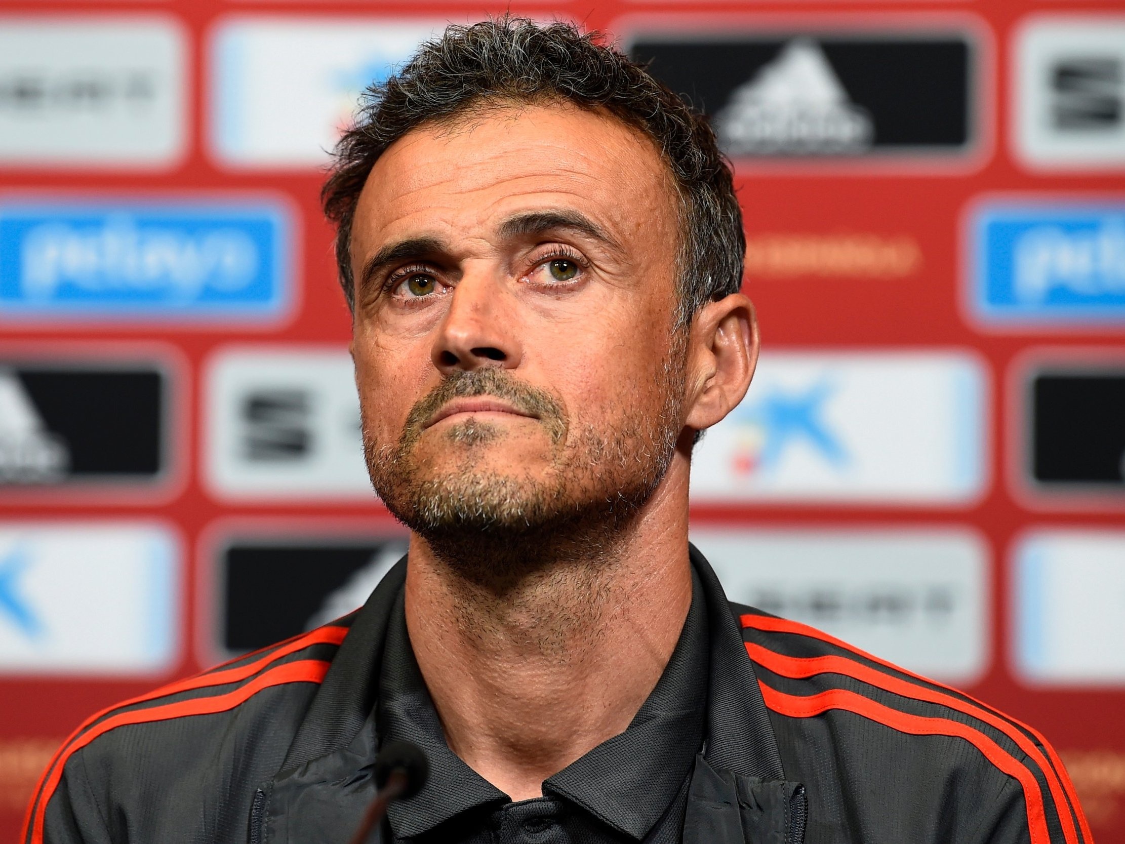 Tây Ban Nha vs Croatia ảnh 2 Tay Ban Nha vs Croatia anh 2