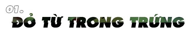 MU, Ole ảnh 3 MU, Ole anh 3