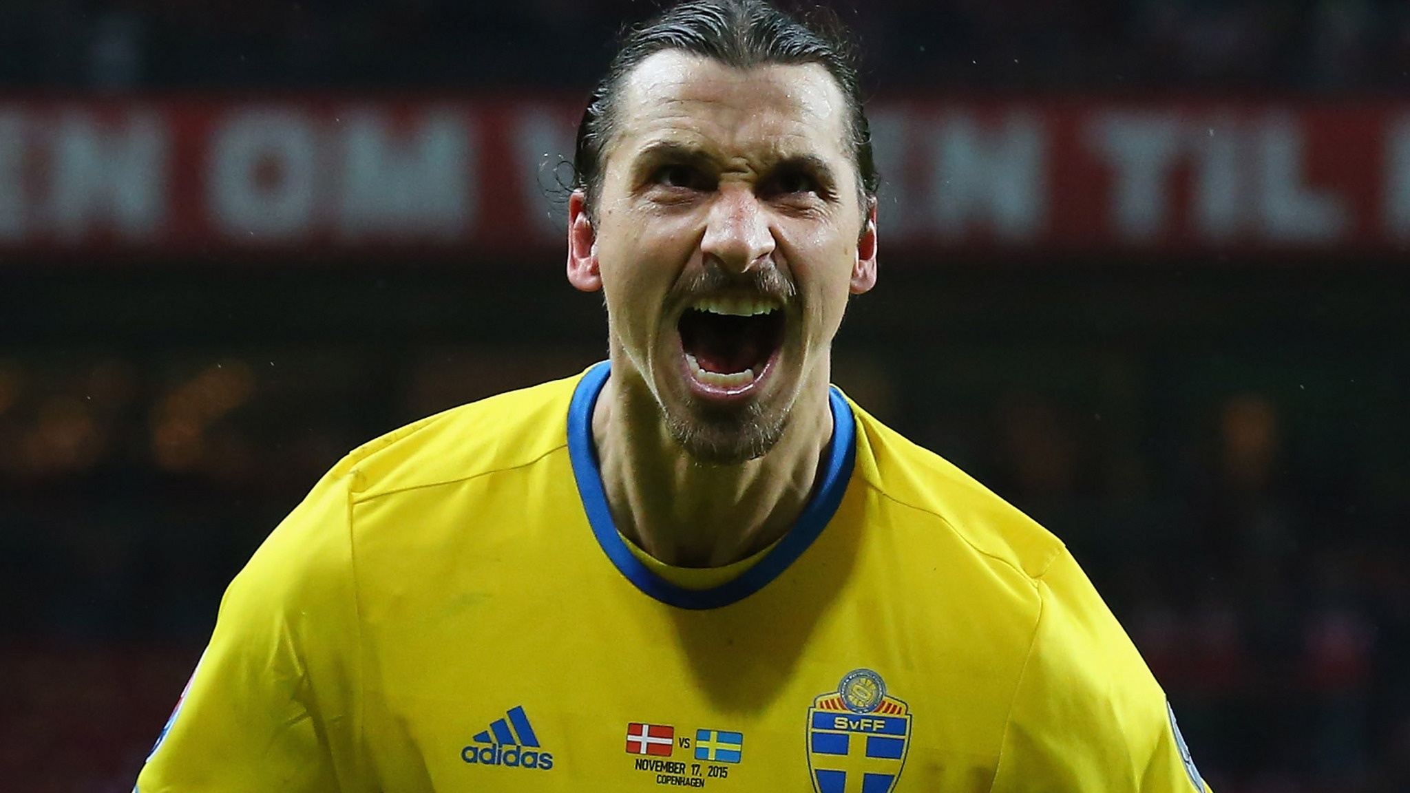 Ibrahimovic ảnh 11 Ibrahimovic anh 11