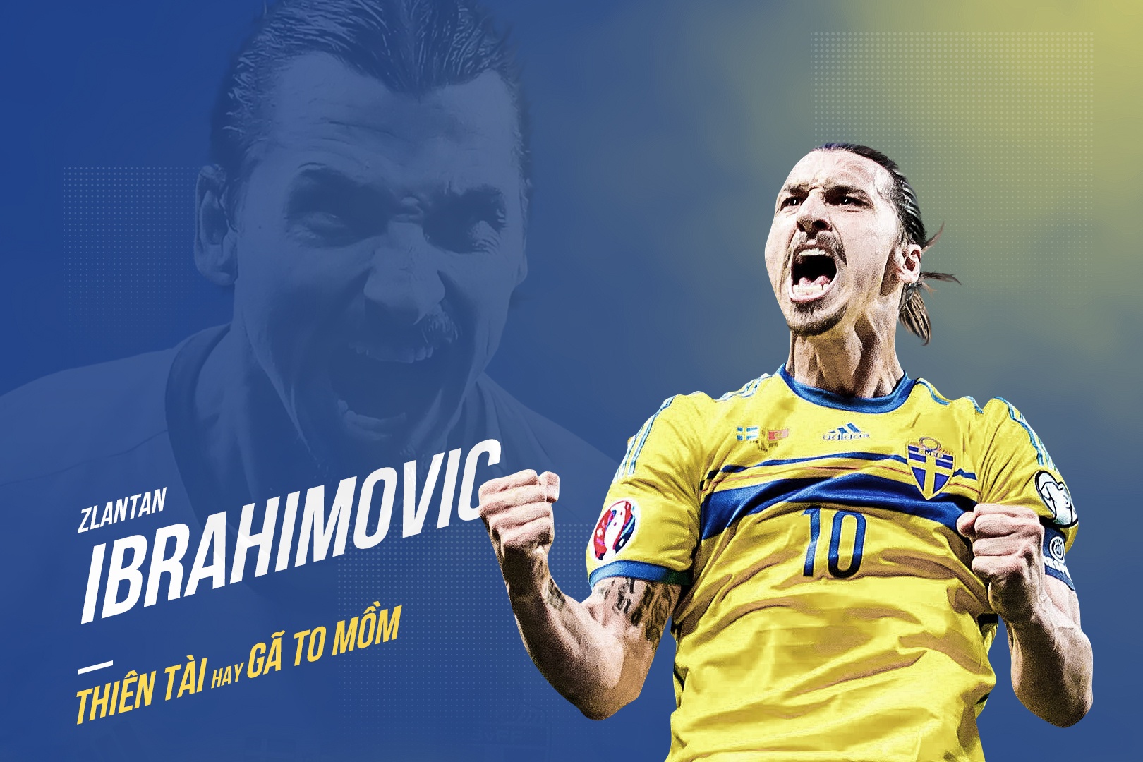 Ibrahimovic ảnh 1 Ibrahimovic anh 1