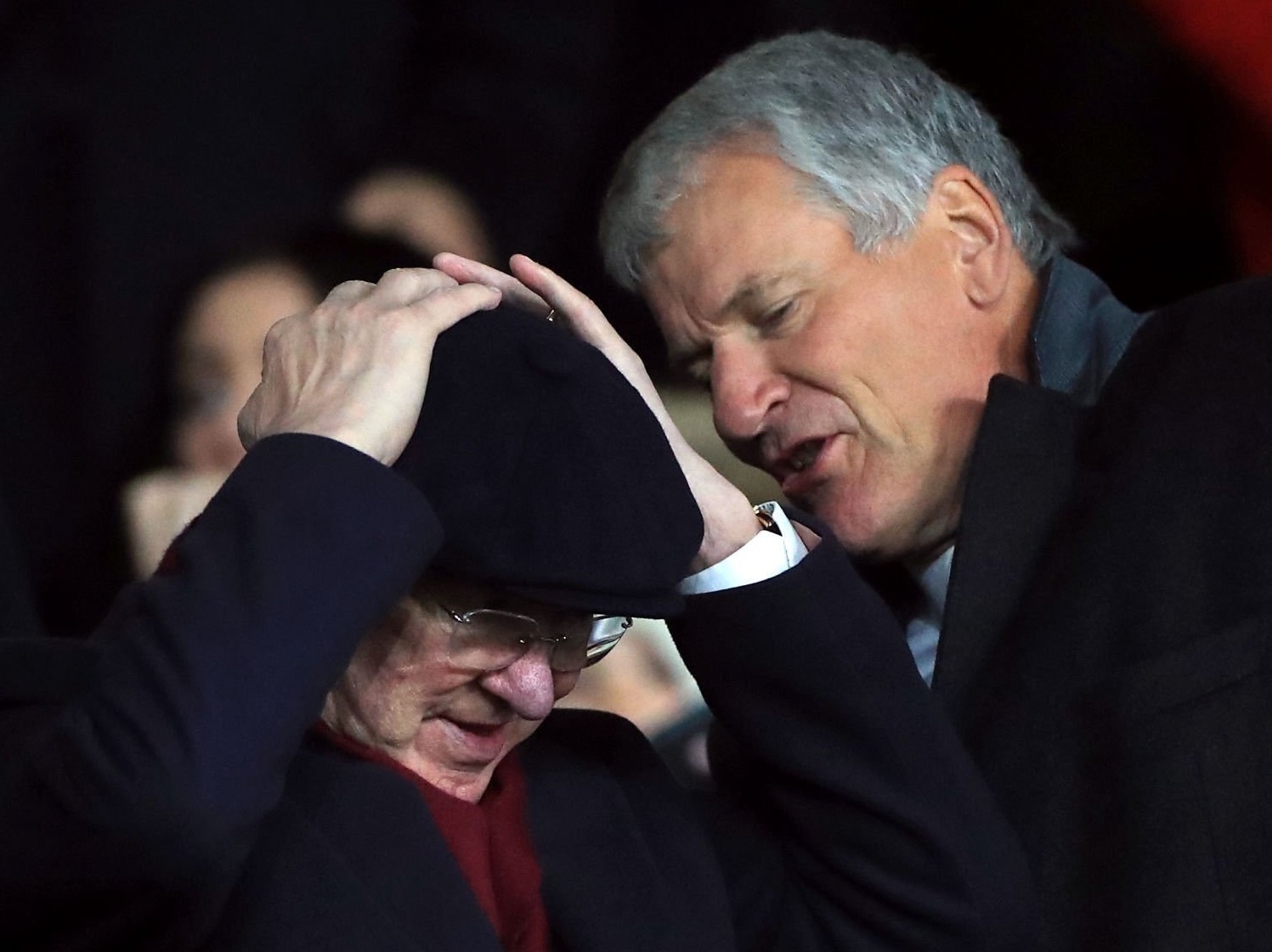 Mu hòa Sheffield ảnh 2 Mu hoa Sheffield anh 2