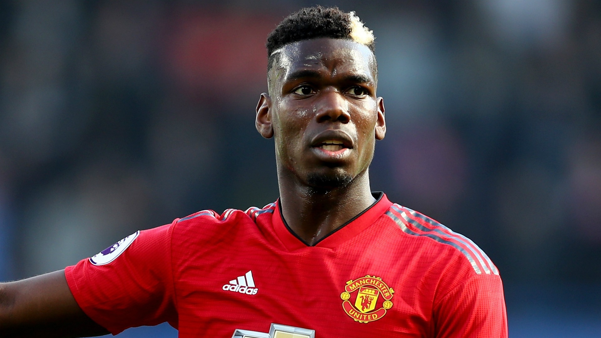 Man United tra gia vi su dung Pogba hinh anh
