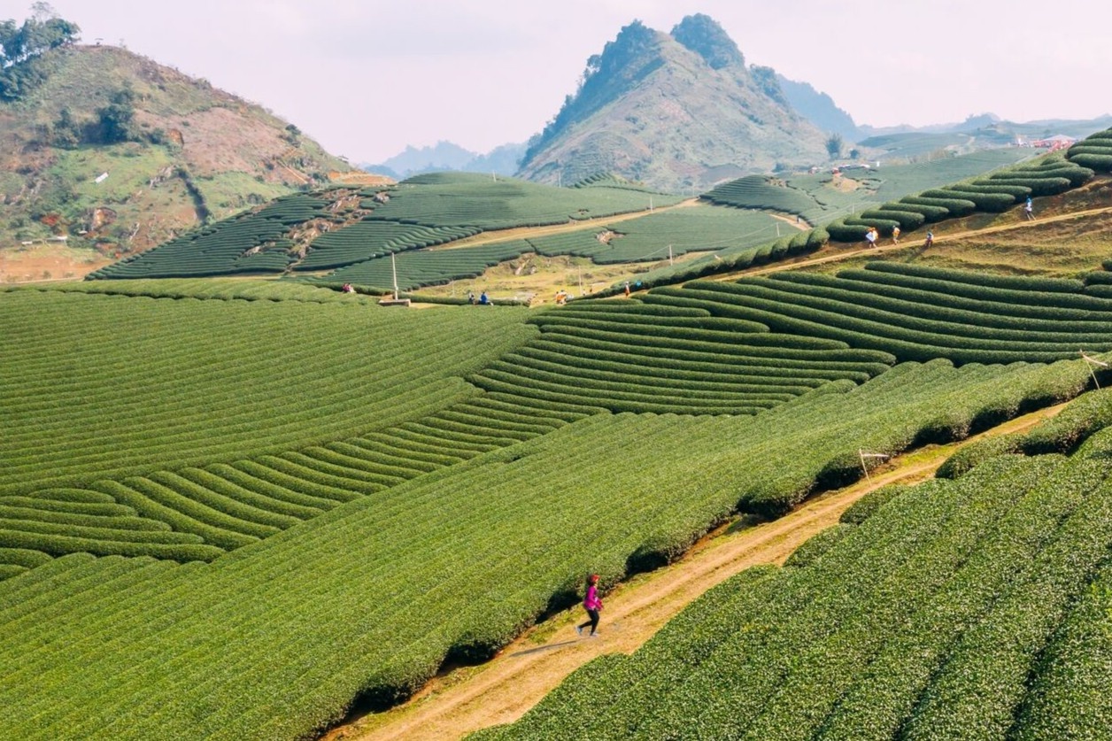 Nu VDV marathon cho con 9 tuoi chay theo 35 km duong nui Moc Chau hinh anh