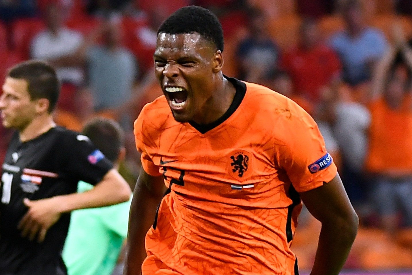 Ha Lan va suc manh moi cua loc cam hinh anh