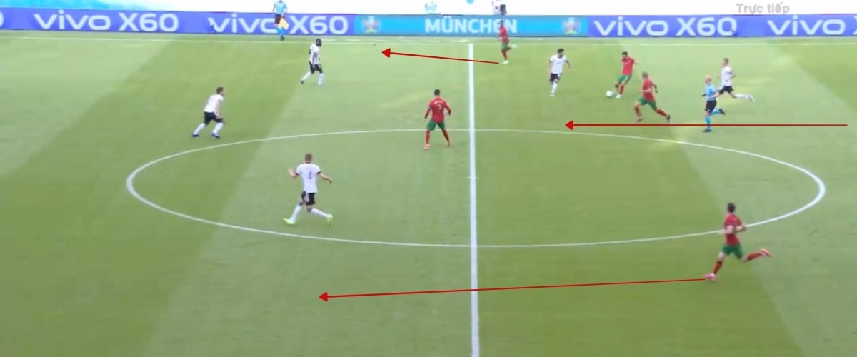 duc vs bo dao nha anh 15