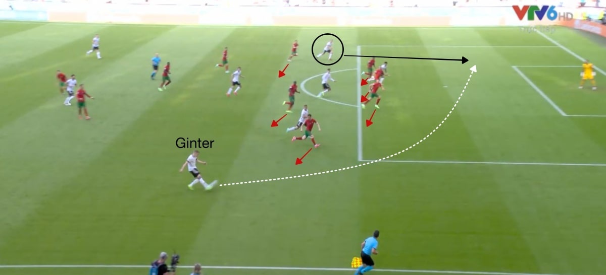 duc vs bo dao nha anh 12