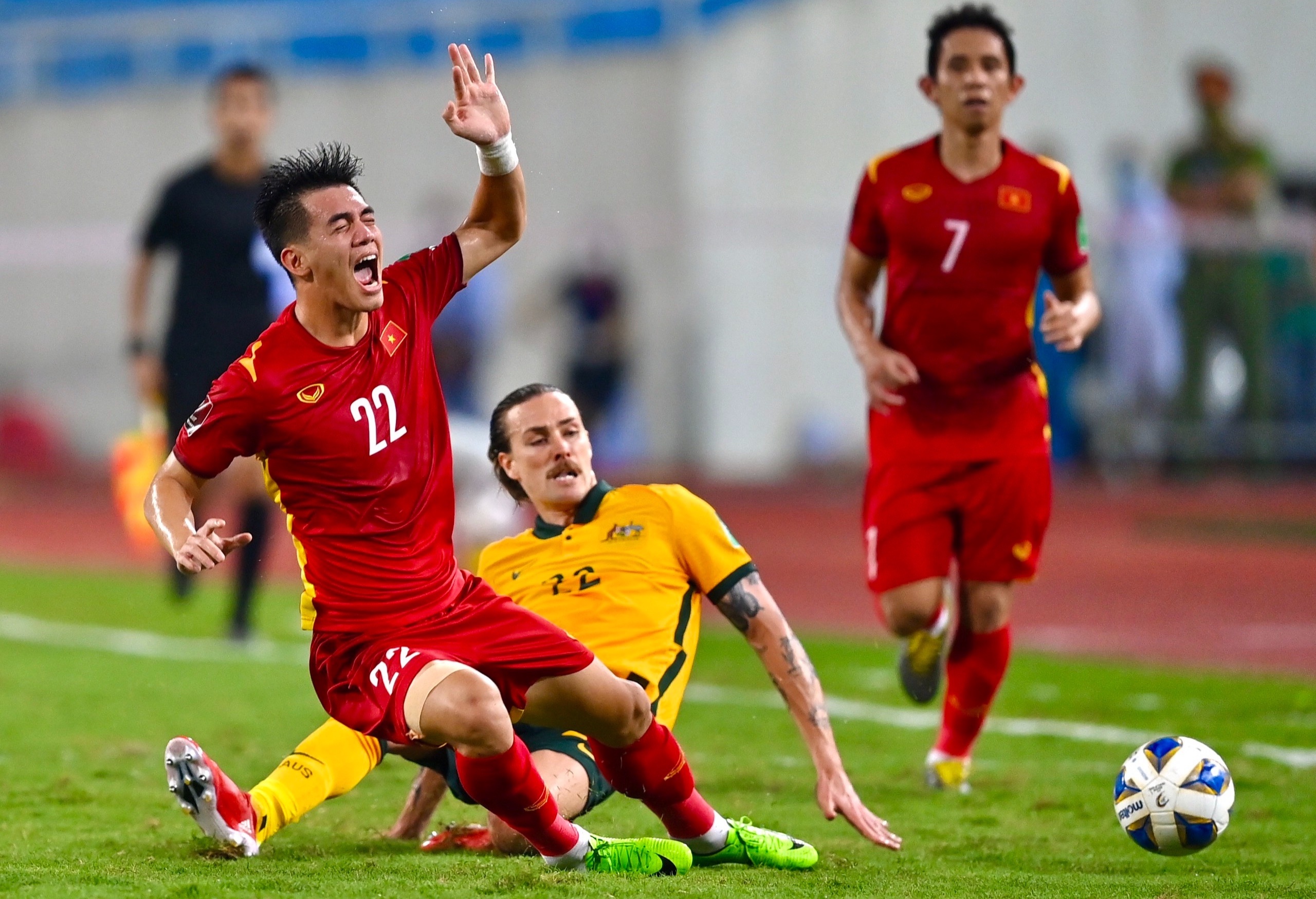 Tuyen Viet Nam da khac hinh anh