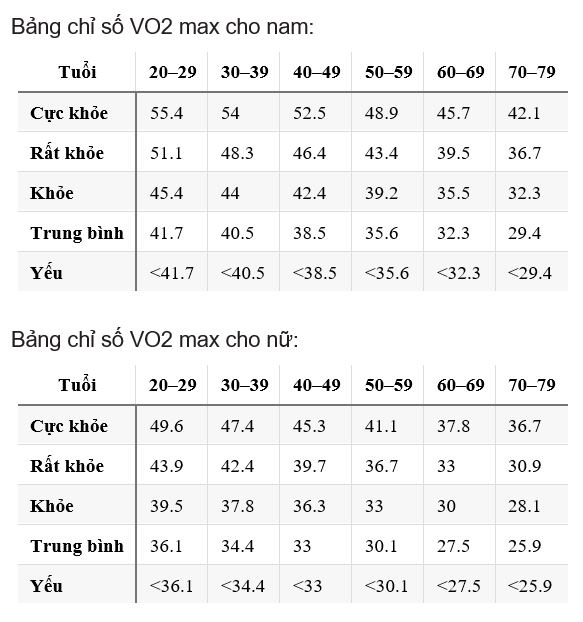 Vo2 max chay bo anh 1