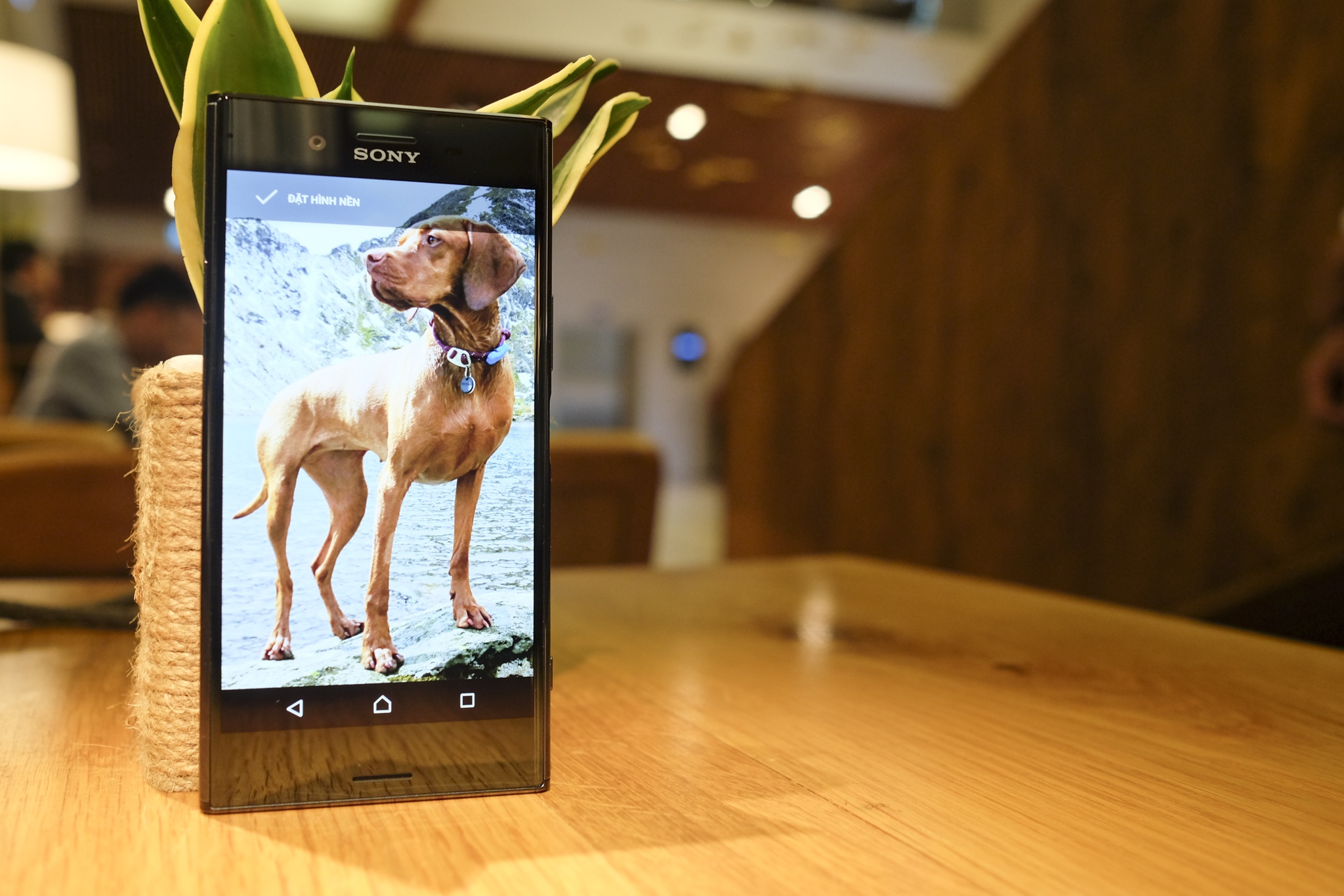 Trai nghiem nhanh Sony Xperia XZ Premium hinh anh