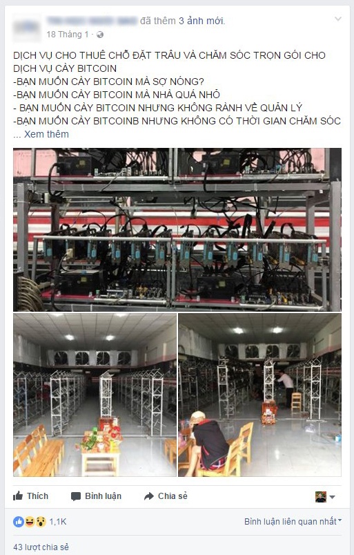 Chan trau cay Bitcoin anh 1