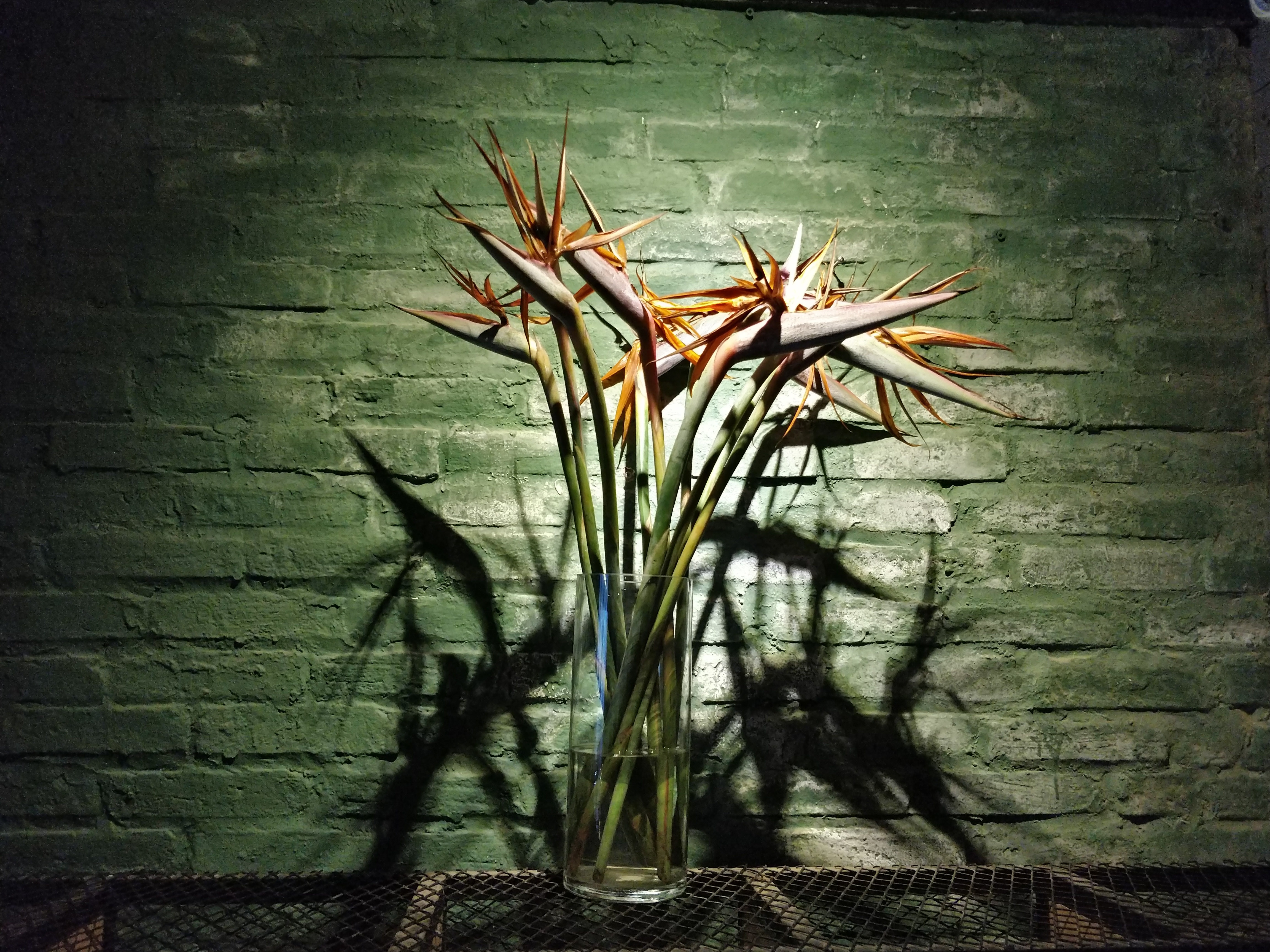 trải nghiệm OnePlus 5 ảnh 7 trai nghiem OnePlus 5 anh 7