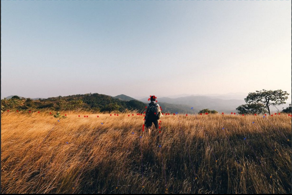 Tu lam anh dong don gian anh 5