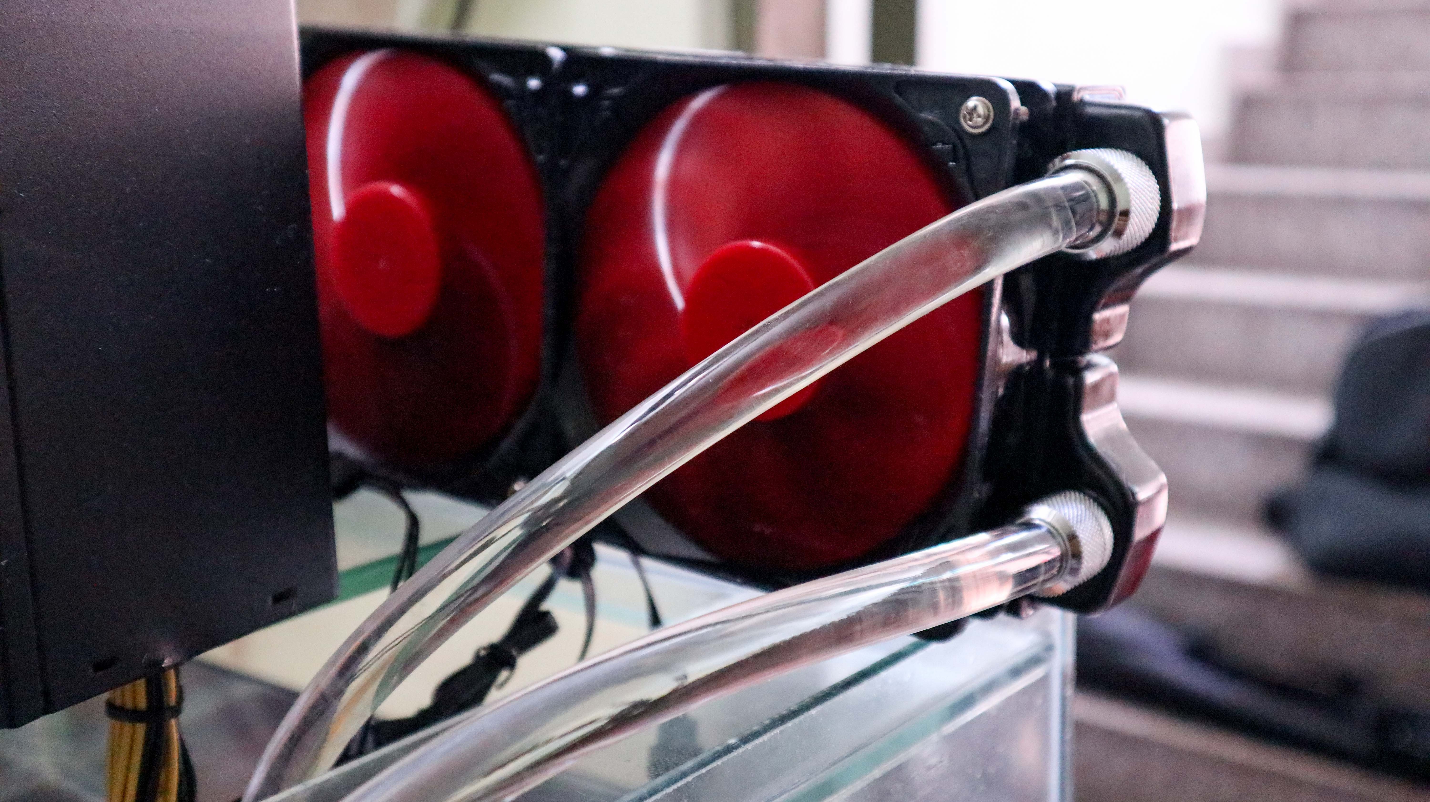 Dan trau cay Bitcoin duoi nuoc dau tien tai Viet Nam hinh anh