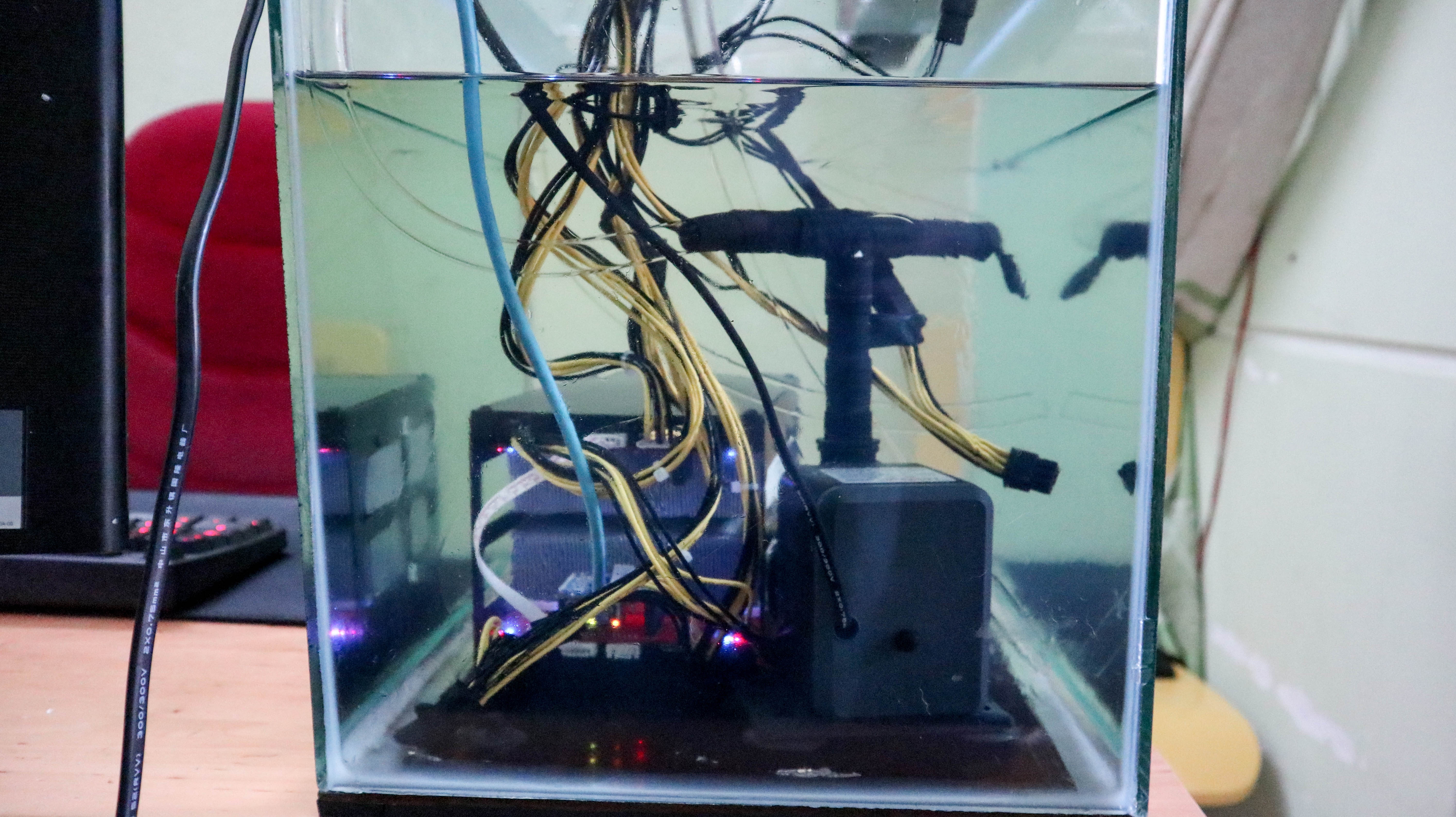 Trau cay Bitcoin dau tien tai Viet Nam anh 3