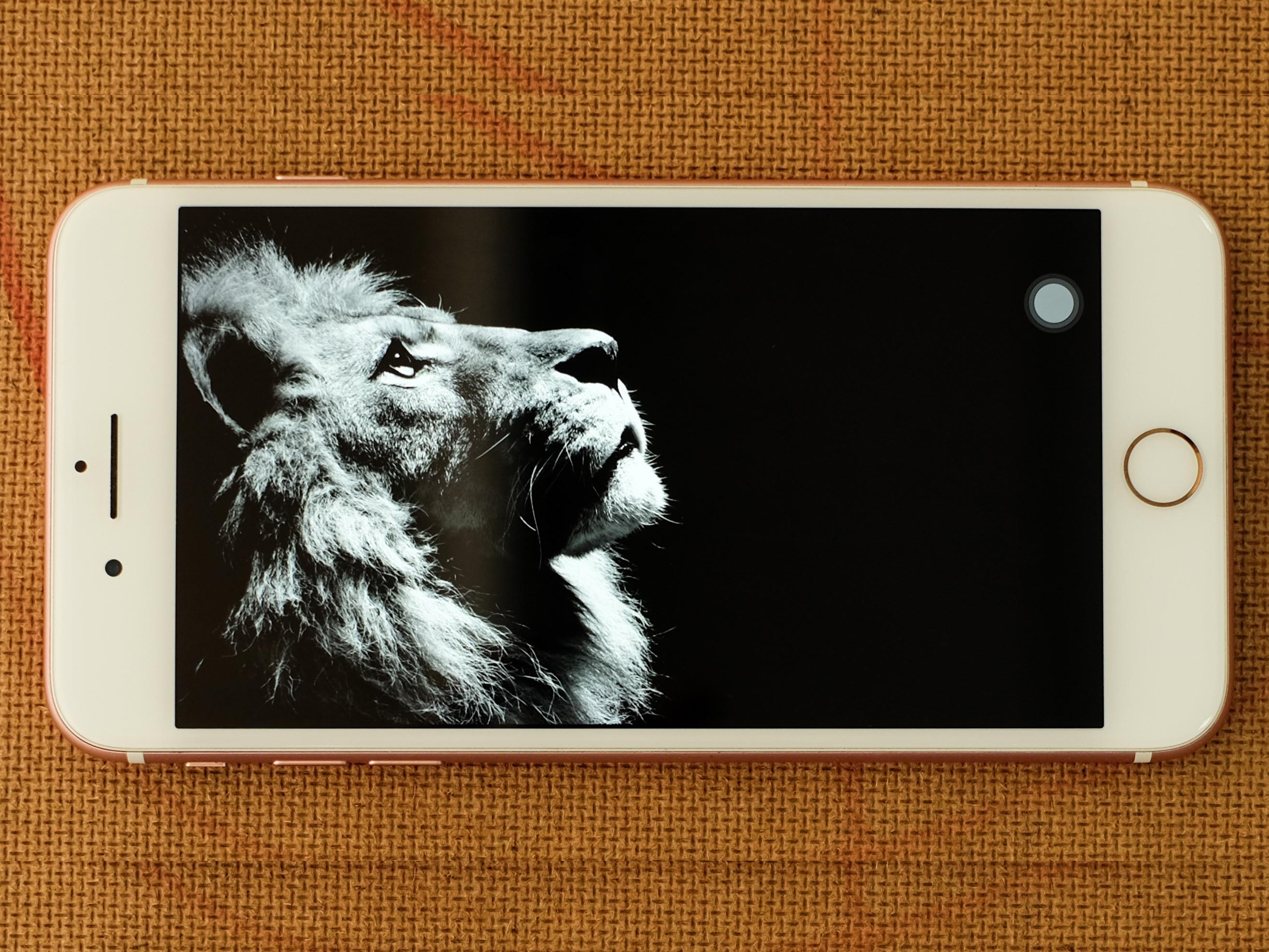 so sanh man hinh galaxy note fe va iphone 7 plus anh 18