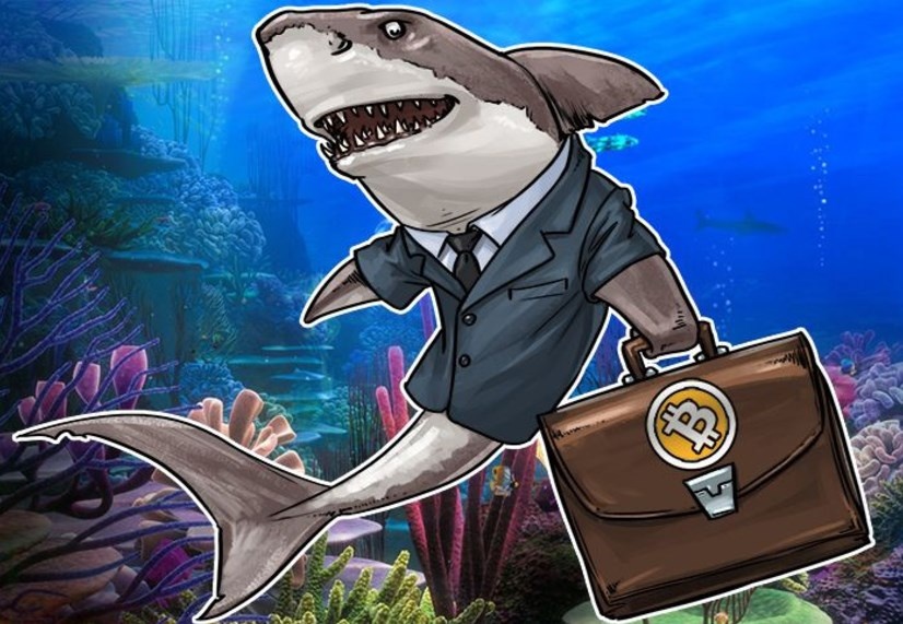 tien ao da cap ICO anh 3