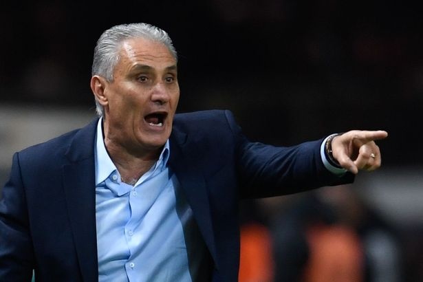 World Cup,  luong,  huan luyen vien,  Joachim Low anh 2