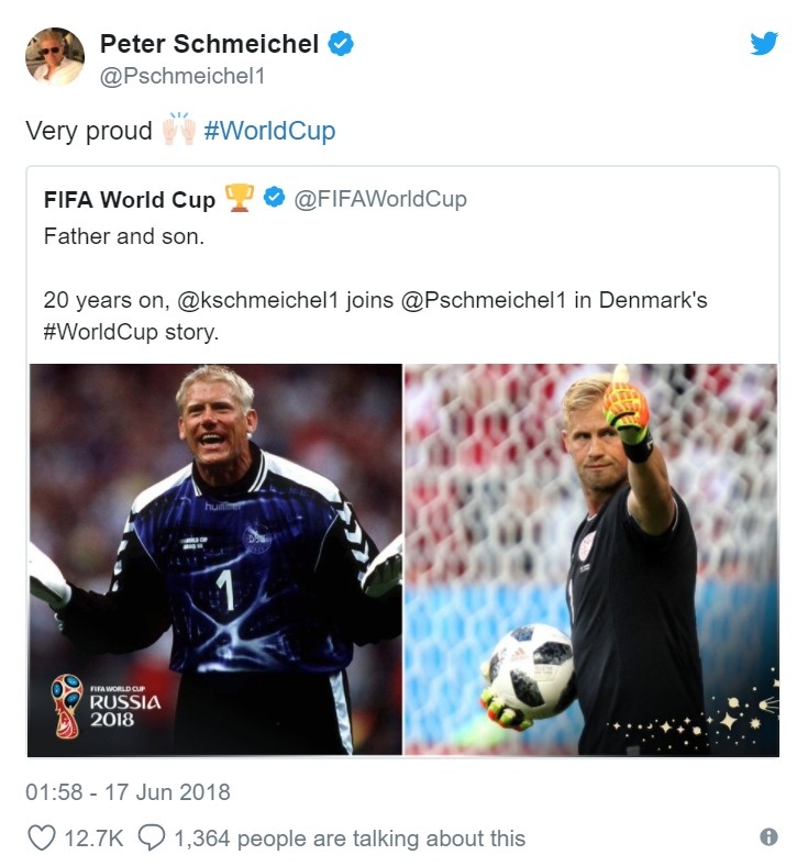 World Cup, Đan Mạch, Peter Schmeichel, Kasper Schmeichel ảnh 1 World Cup, Dan Mach, Peter Schmeichel, Kasper Schmeichel anh 1