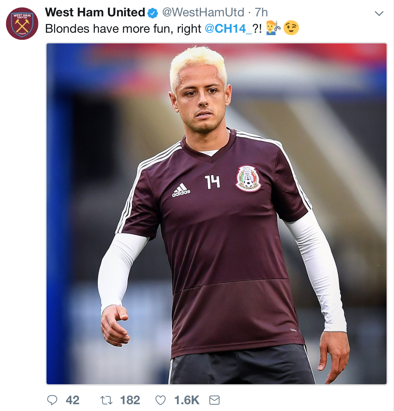 Chicharito nhuom toc vang,  World Cup,  Mexico anh 5