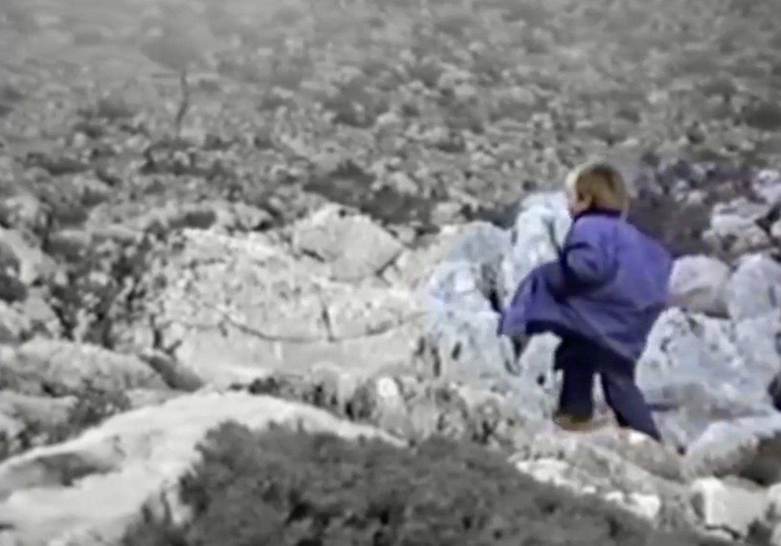 Thuoc phim gay xuc dong ke chuyen Modric 5 tuoi chan cuu giua bay soi hinh anh