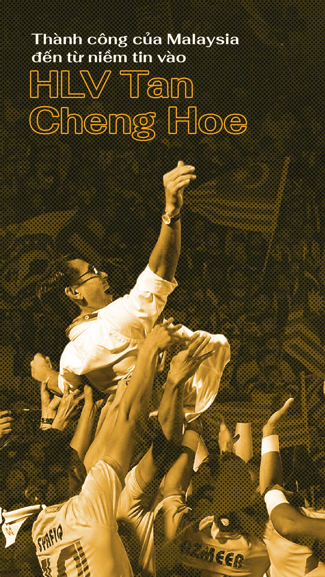 Tan Cheng Hoe, đội tuyển Malaysia, Việt Nam, chung kết AFF Cup ảnh 1 Tan Cheng Hoe, doi tuyen Malaysia, Viet Nam, chung ket AFF Cup anh 1