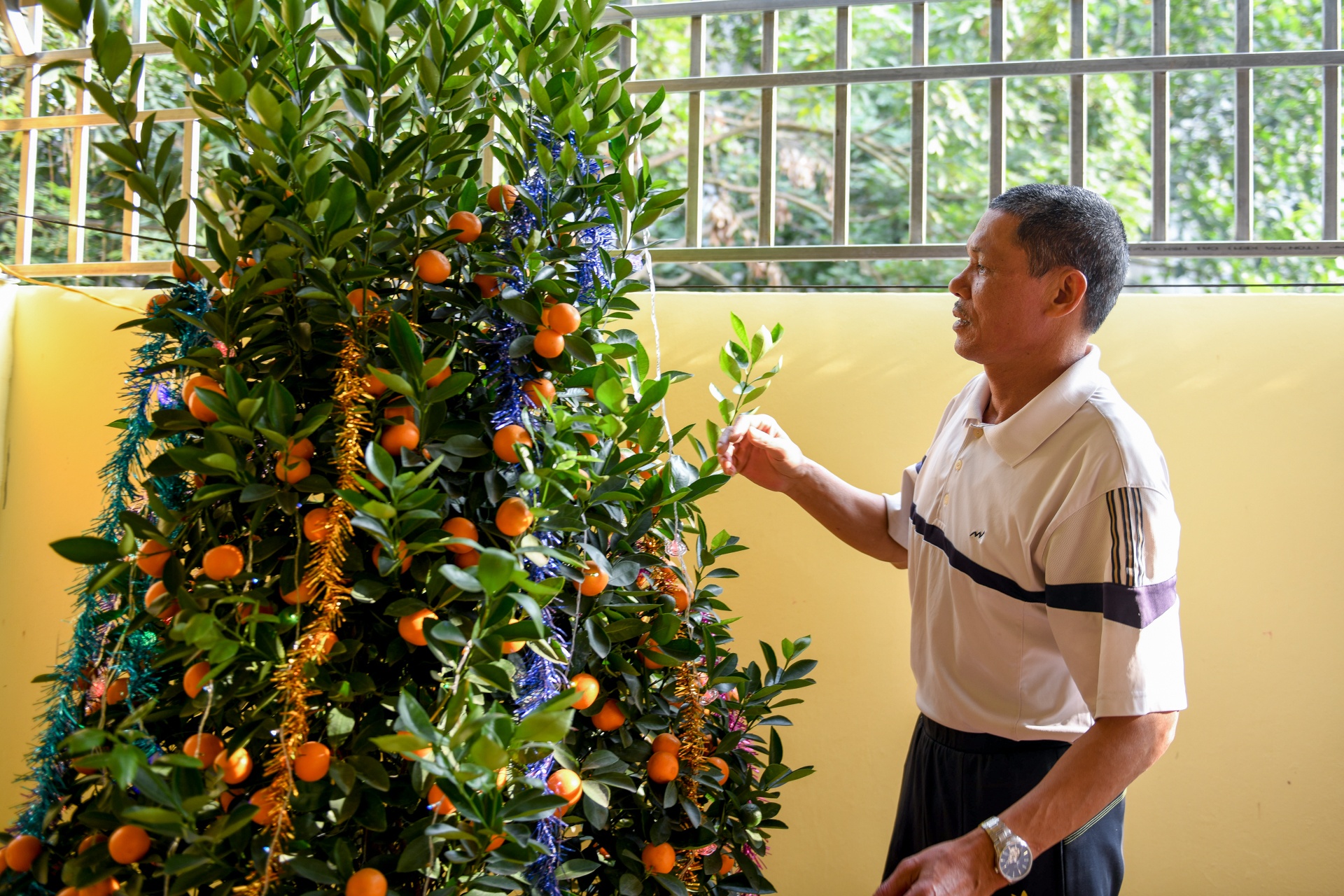 Trần Đình Trọng, Asian Cup, đội tuyển Việt Nam, ông Trần Văn Hùng ảnh 3 Tran Dinh Trong, Asian Cup, doi tuyen Viet Nam, ong Tran Van Hung anh 3