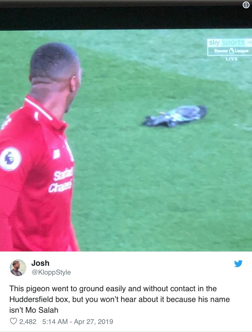 Mohamed Salah, sút trúng chim bồ câu, Huddersfield, Ngoại hạng Anh ảnh 1 Mohamed Salah, sut trung chim bo cau, Huddersfield, Ngoai hang Anh anh 1