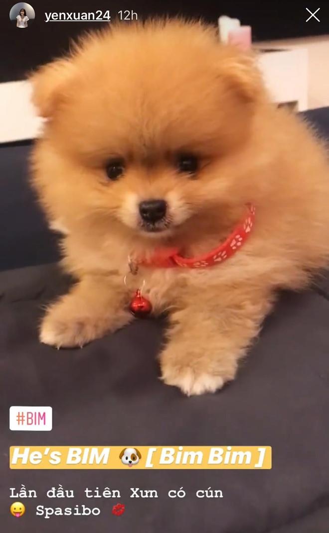 Văn Lâm, Yến Xuân, bạn gái Văn Lâm, tặng cún cưng, King's Cup ảnh 1 Van Lam, Yen Xuan, ban gai Van Lam, tang cun cung, King's Cup anh 1
