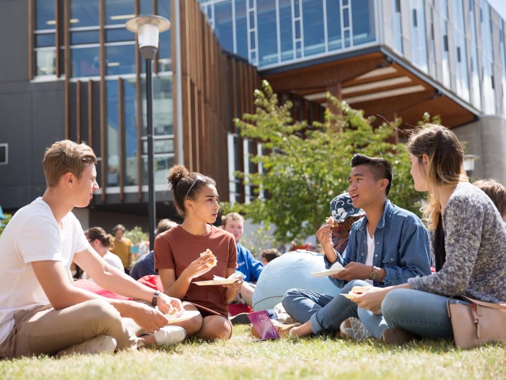 4 nganh hoc bat nhip tuong lai tai New Zealand hinh anh