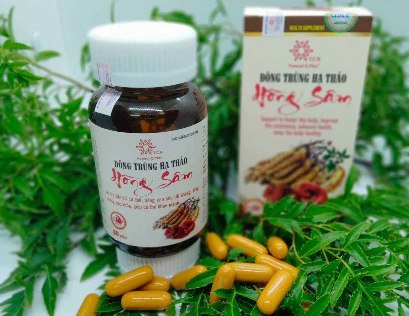 Ho tro tang cuong suc khoe voi dong trung ha thao hong sam hinh anh