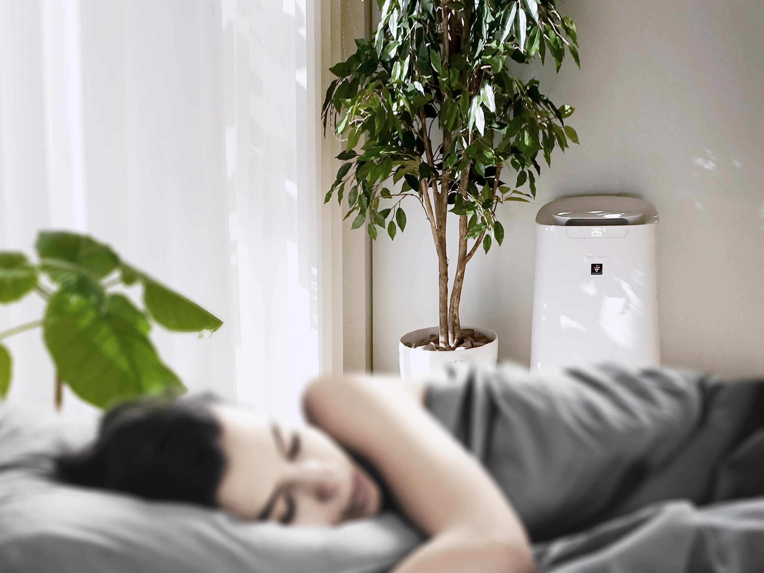 benh ho hap,  Sharp anh 9