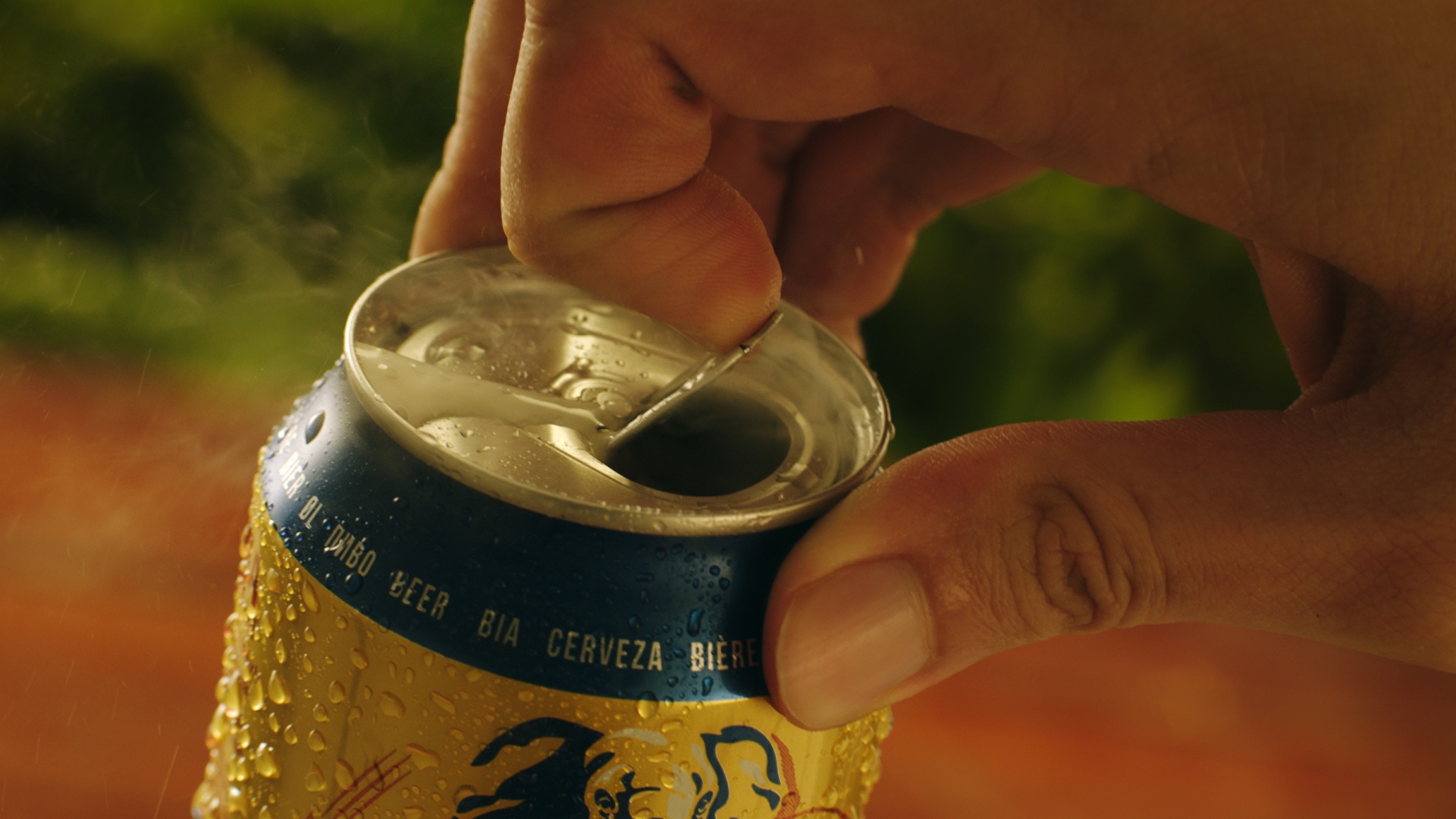 Halida,  bia voi ảnh 2 Halida,  bia voi anh 2