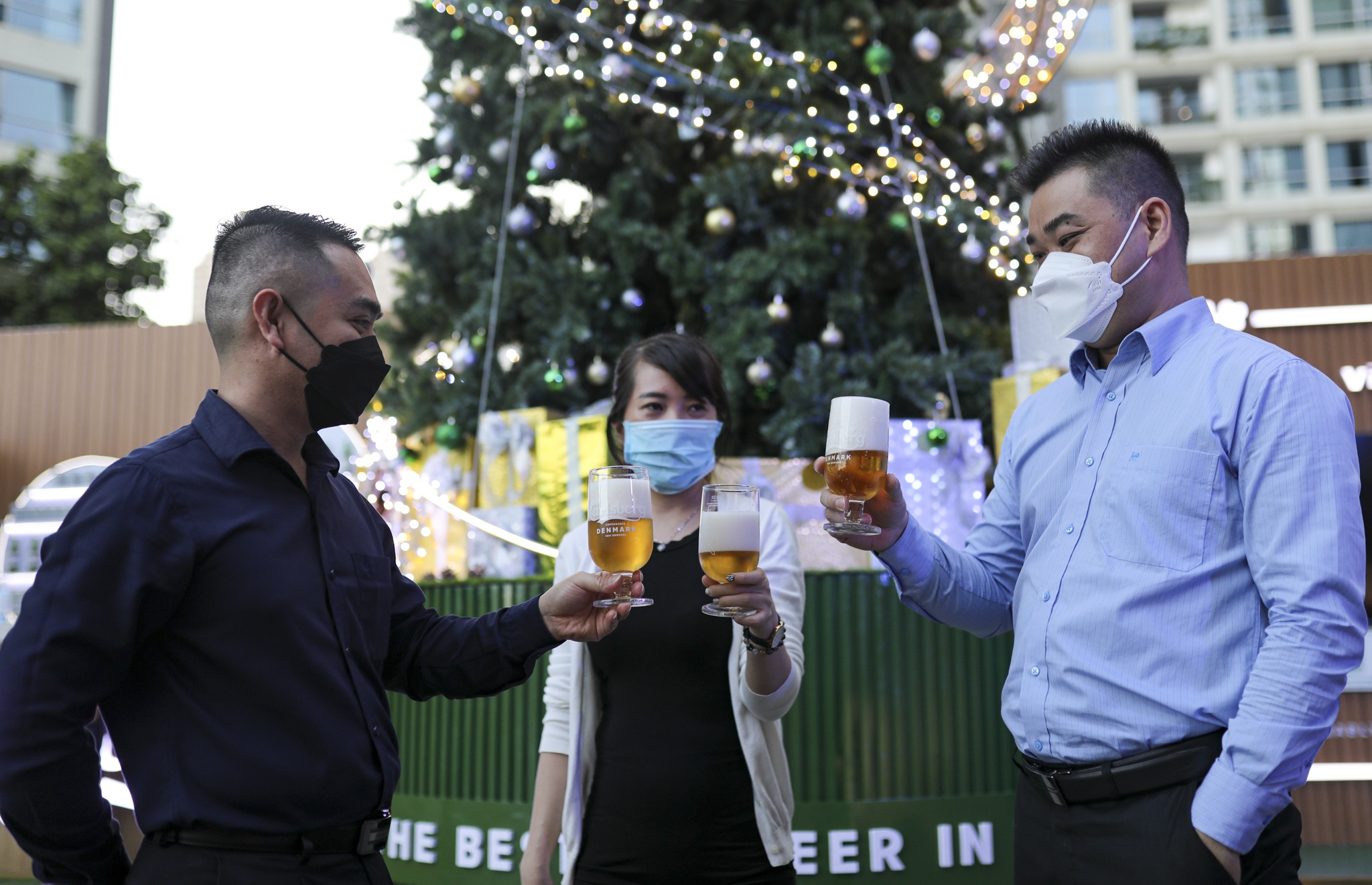 Carlsberg,  cây thông bia tươi ảnh 3 Carlsberg,  cay thong bia tuoi anh 3
