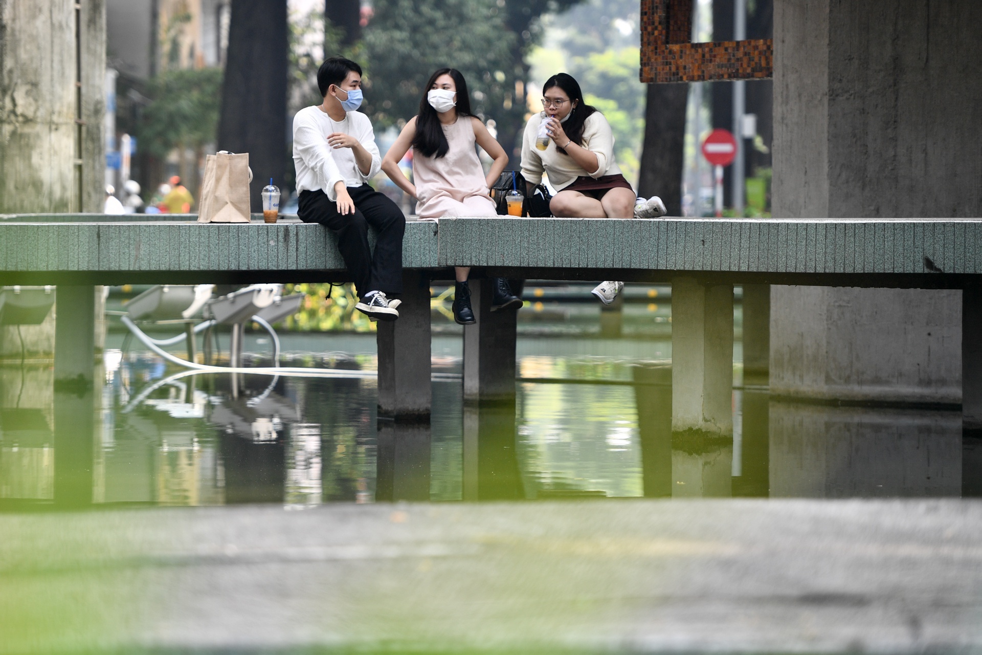 Carlsberg,  cây thông bia tươi ảnh 2 Carlsberg,  cay thong bia tuoi anh 2