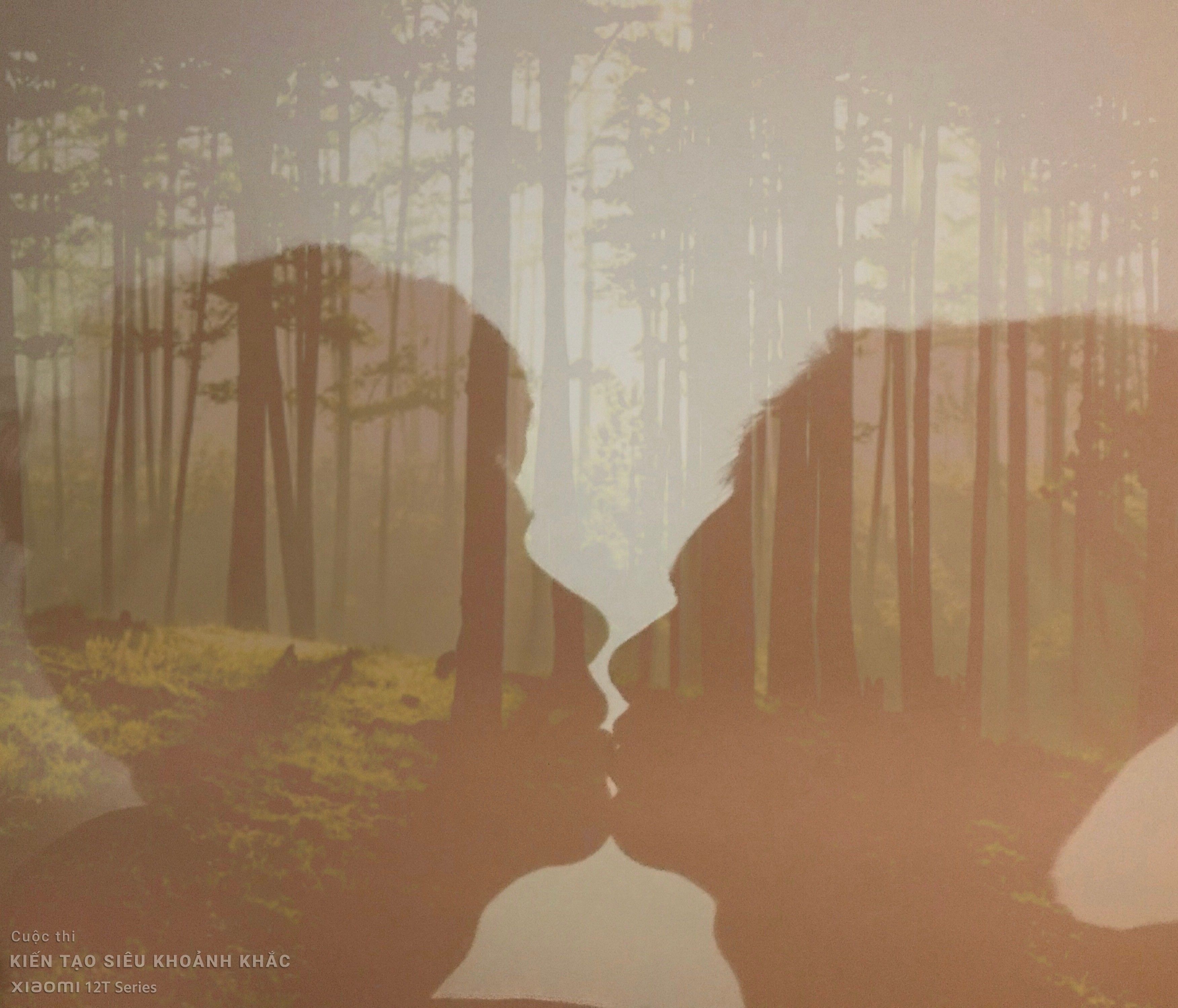 Kien tao khoanh khac,  Xiaomi anh 6