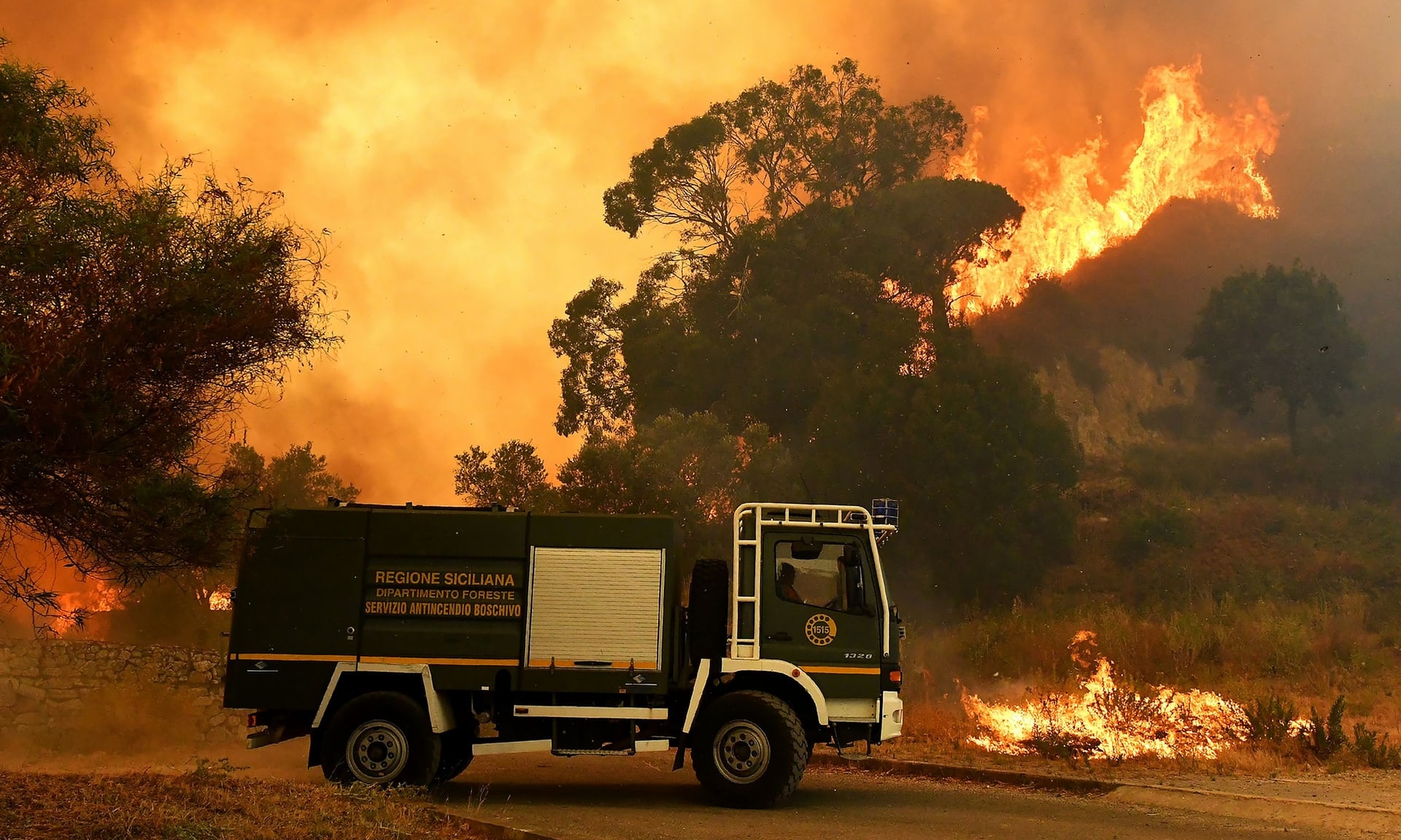 Linh cuu hoa Italy tu tao hoa hoan de kiem them thu nhap hinh anh