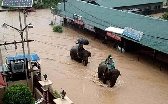 Voi cuu thoat hang tram du khach khoi dong nuoc lu tai Nepal hinh anh