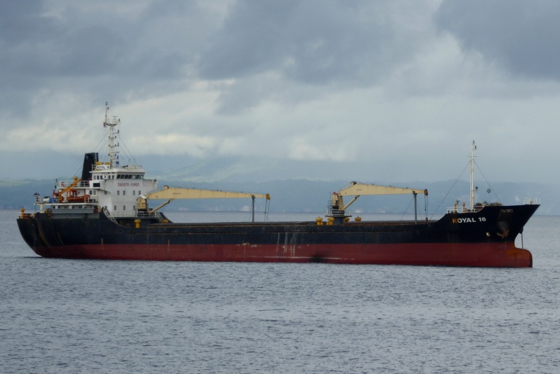 Thuyen vien Viet Nam bi bat coc duoc Philippines giai cuu hinh anh