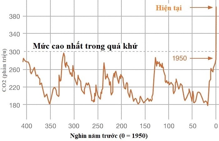 Dai tuyet chung lan 6 anh 2
