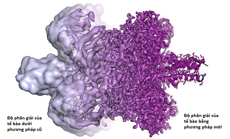 Giải Nobel Hóa học 2017 ảnh 2 Giai Nobel Hoa hoc 2017 anh 2