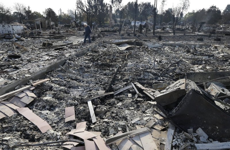 Chay rung tai California anh 2