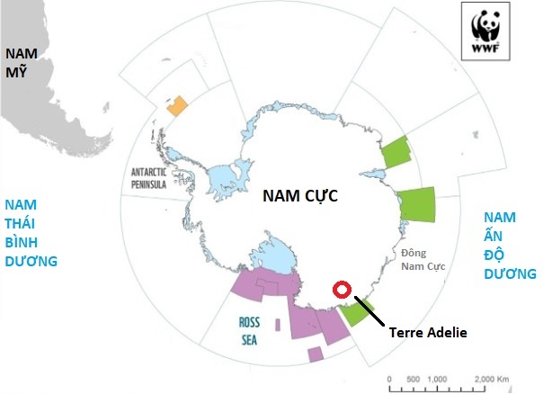 Chim cánh cụt chết ở Bắc Cực ảnh 2 Chim canh cut chet o Bac Cuc anh 2