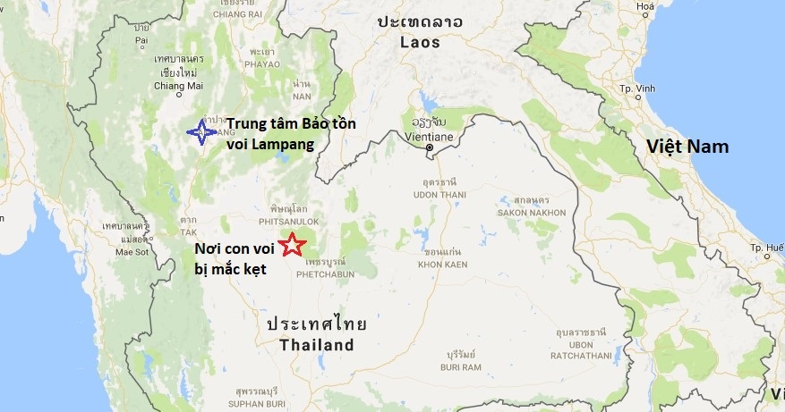 Thái Lan gải cứu voi ảnh 3 Thai Lan gai cuu voi anh 3