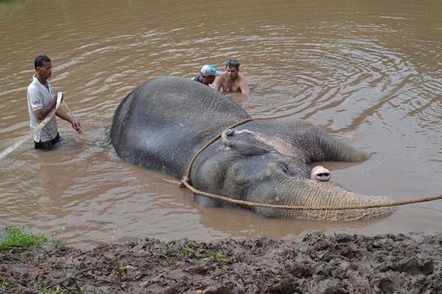 Thai Lan giai cuu voi mac ket duoi kenh vi mua lu hinh anh