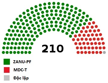 Tong thong Mugabe anh 2