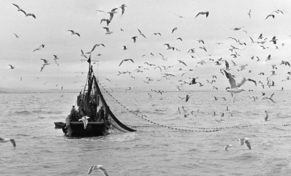 Tau ma Trieu Tien troi noi khap vung bien Nhat Ban hinh anh